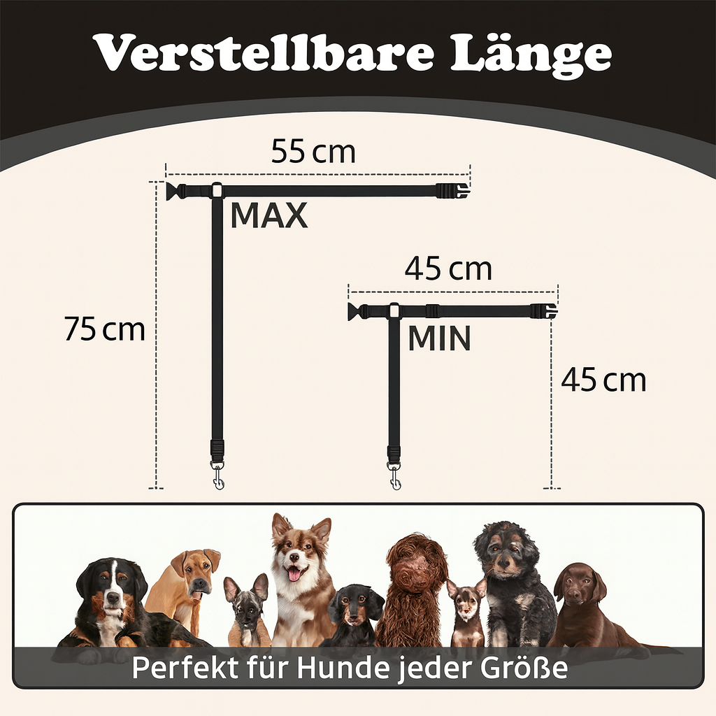 Verstellbarer Sicherheitsgurt für Hunde