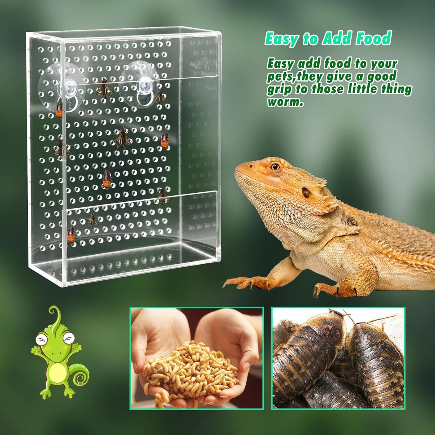 Acryl Reptilien-Futterbox – Wandmontierter Futterspender mit Saugnäpfen für Geckos, Echsen & Bartagamen