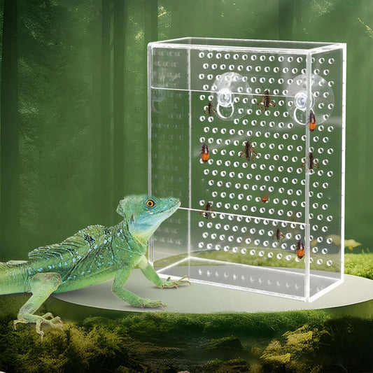 Acryl Reptilien-Futterbox – Wandmontierter Futterspender mit Saugnäpfen für Geckos, Echsen & Bartagamen