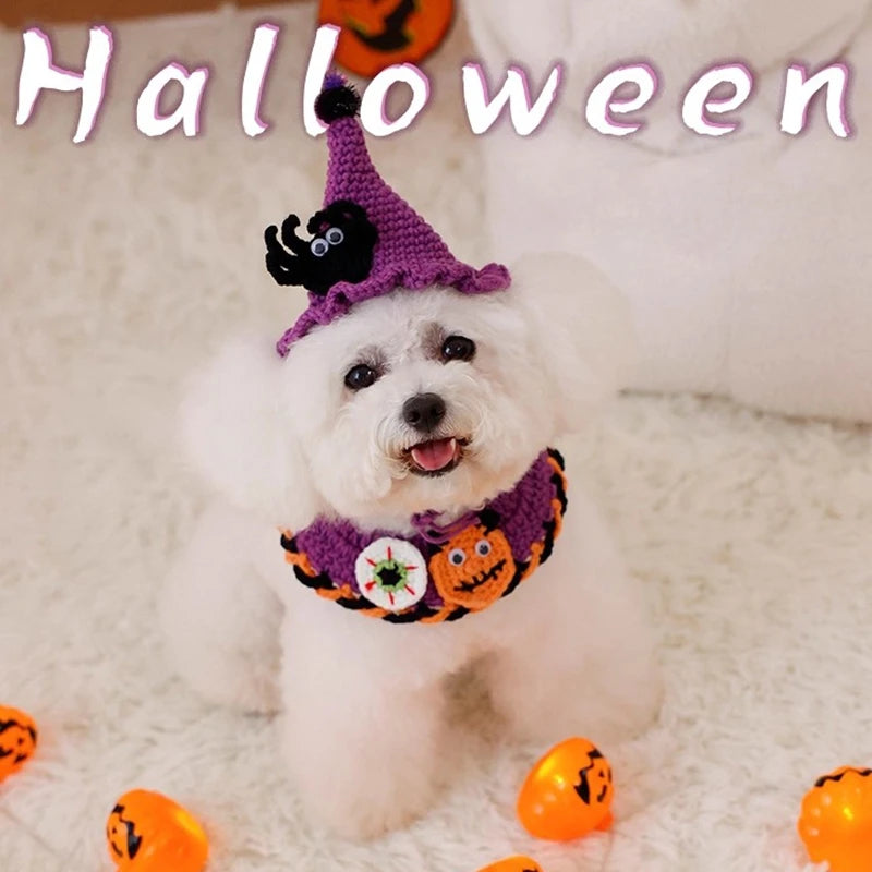 🎃🐱 Halloween Halstuch für Katzen & kleine Hunde – Süßes Kostüm mit Schal & Kragen
