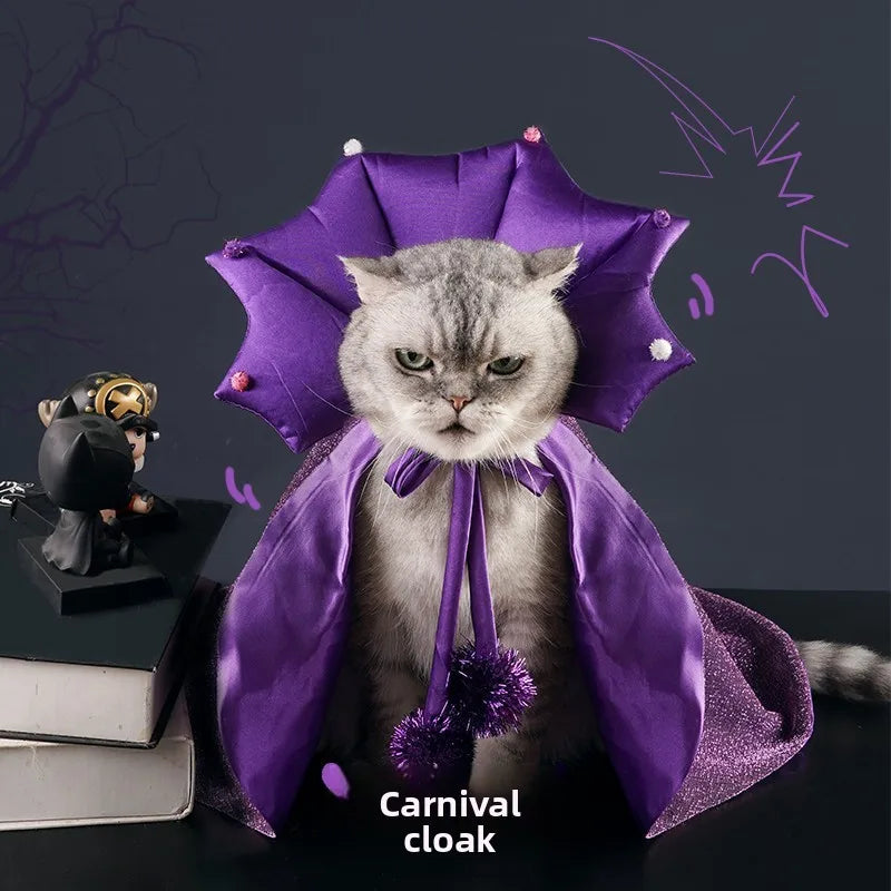 🧙♀️🐾 Lila Hexenumhang mit Hexenhut für Katzen & kleine Hunde – Halloween-Kostüm für