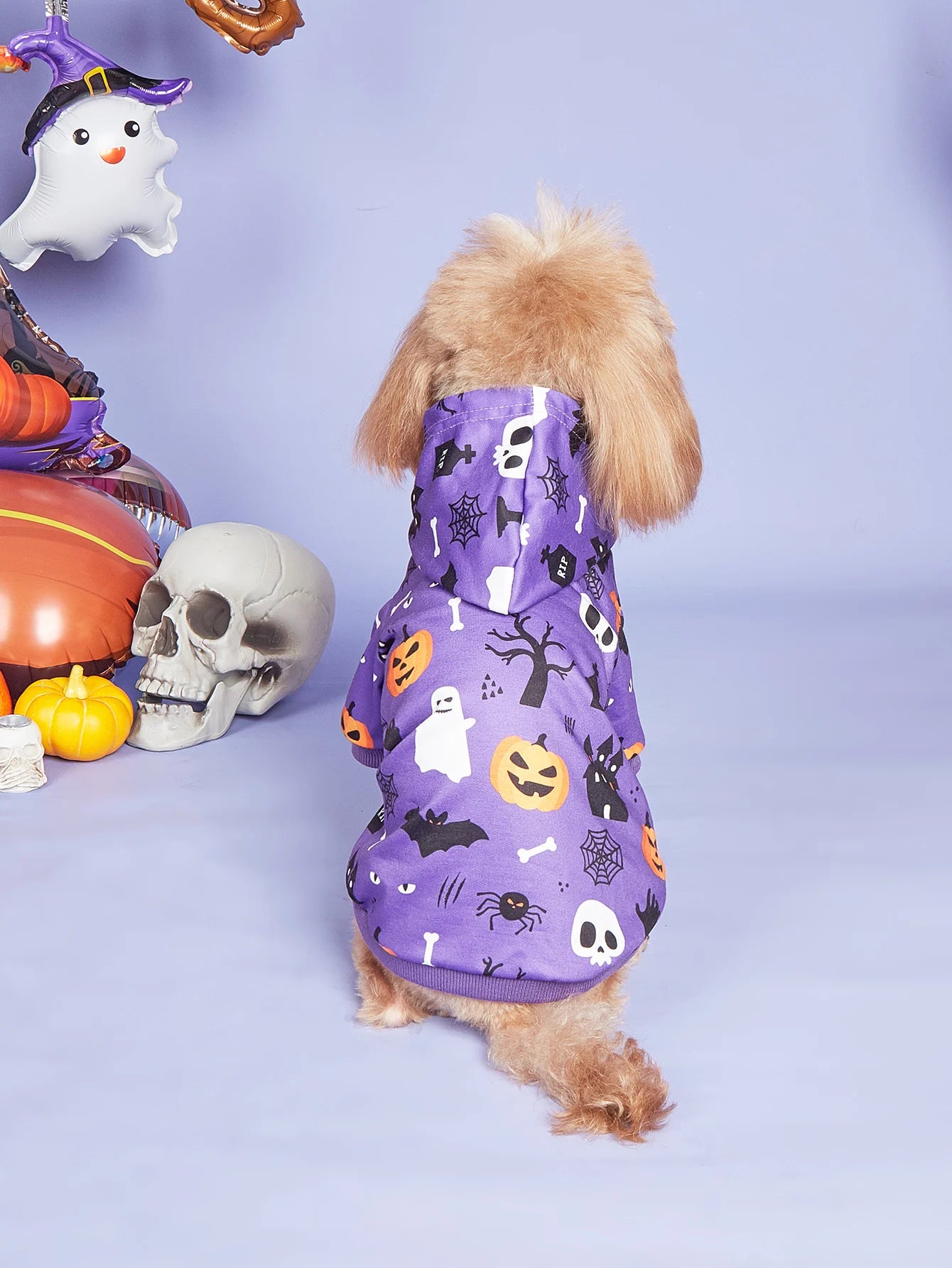 🎃🐕 Halloween Hundekostüm – Warmer Hoodie für kleine Hunde wie Französische Bulldogge, Mops & Terrier