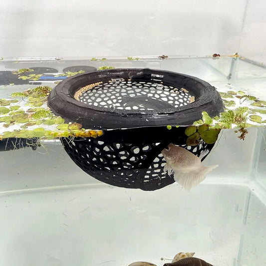 Aquarium Schwimmhöhle 3-in-1 – Betta & Garnelen Versteck, Futterring & Ruheplatz | Schwimmende Dekoration