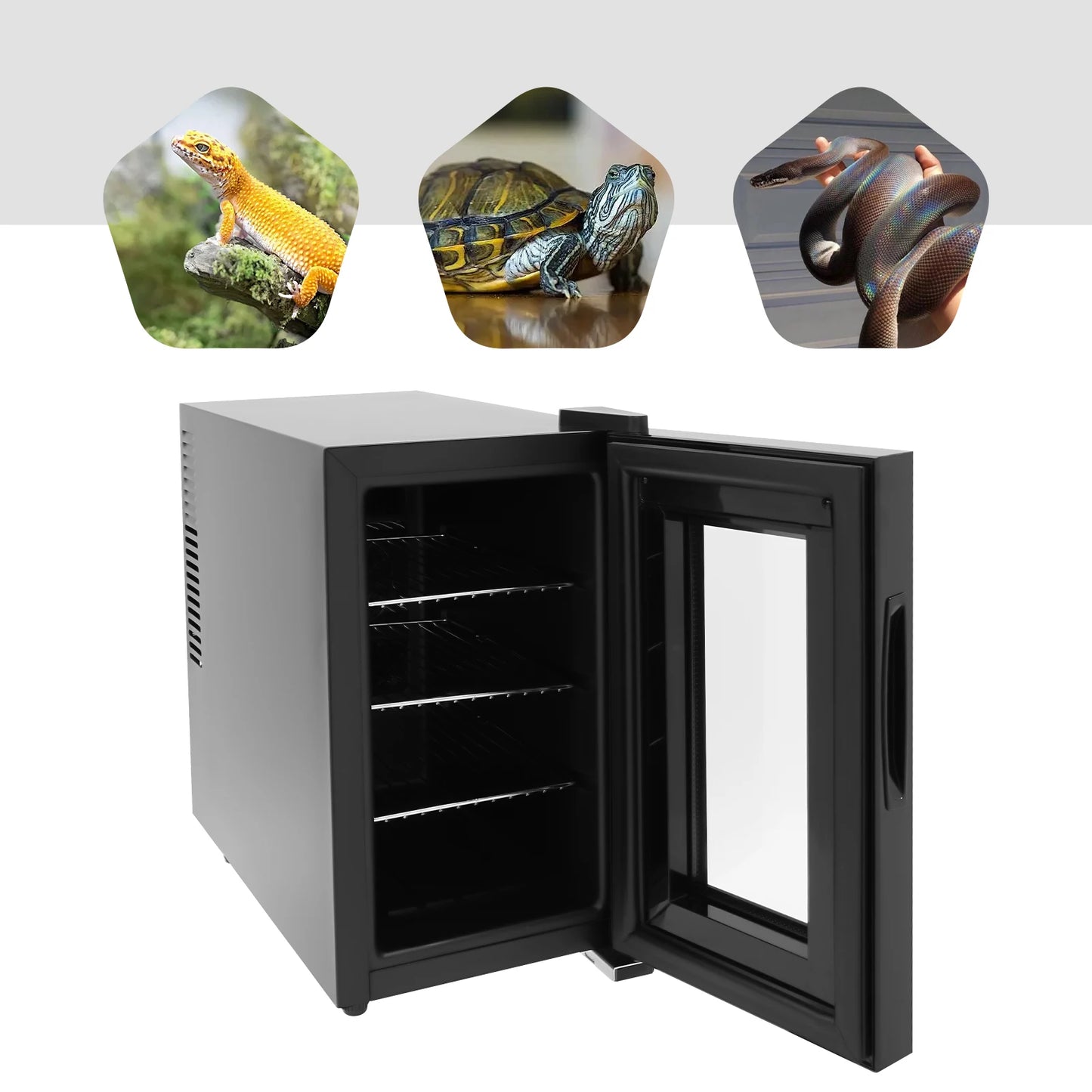 23L Reptilien-Ei-Inkubator – LED-Display & Präzise Temperaturkontrolle 10–40 °C | Brutkasten für Reptilien, Amphibien & Geflügel