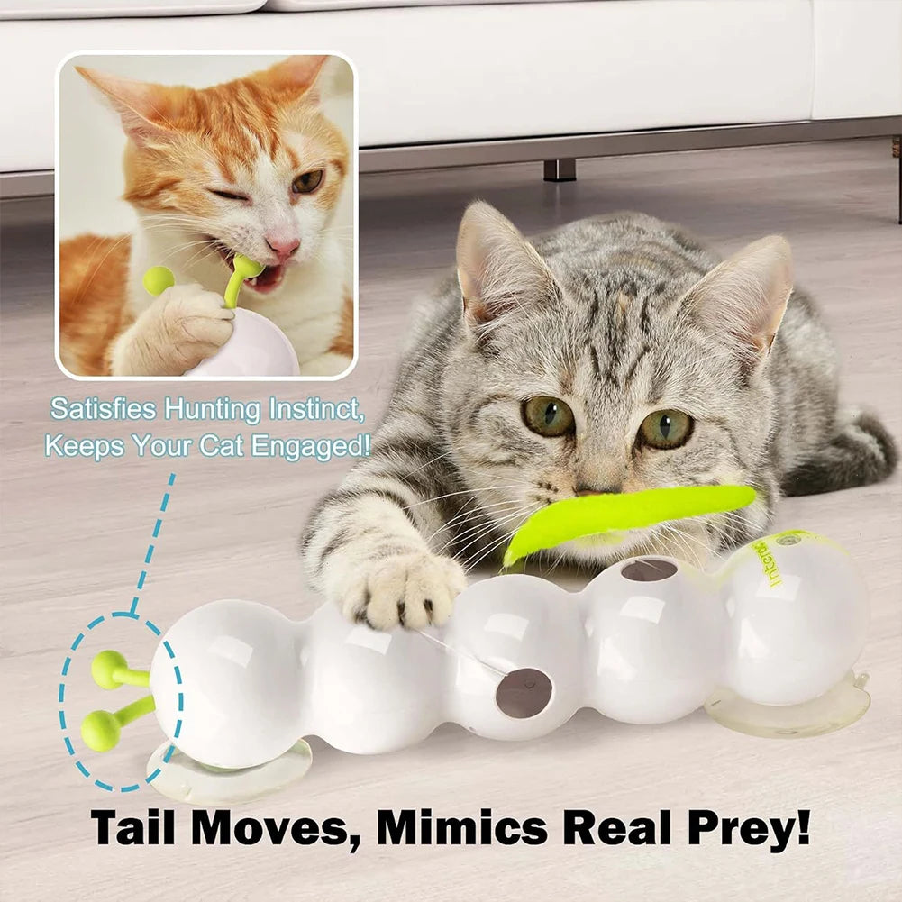 Interaktives Katzen-Spielzeug „Raupe“ – USB-Aufladung, Bewegungssensor, mit Saugnapf & Schwanz