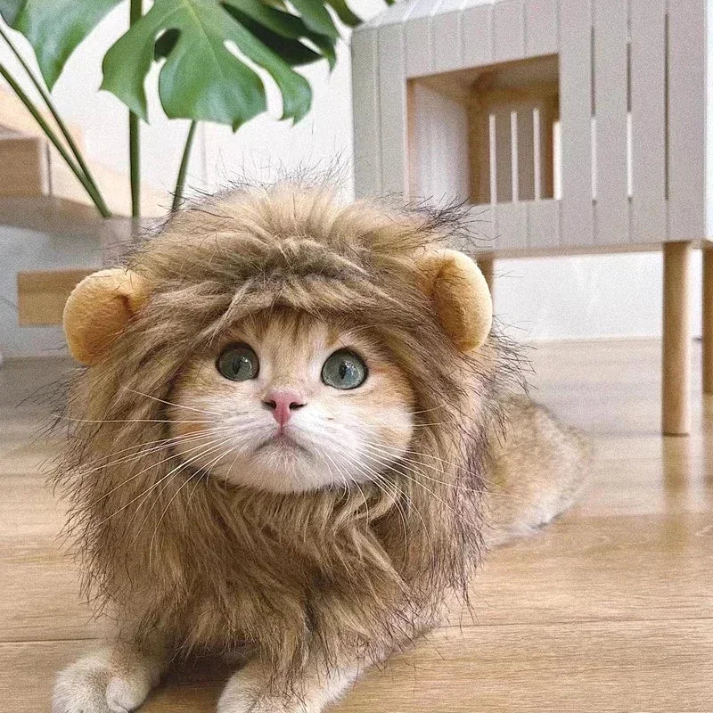 🦁🐾 Löwenmähne für Katzen & Hunde – Lustige Verkleidung für Halloween, Weihnachten & Partys