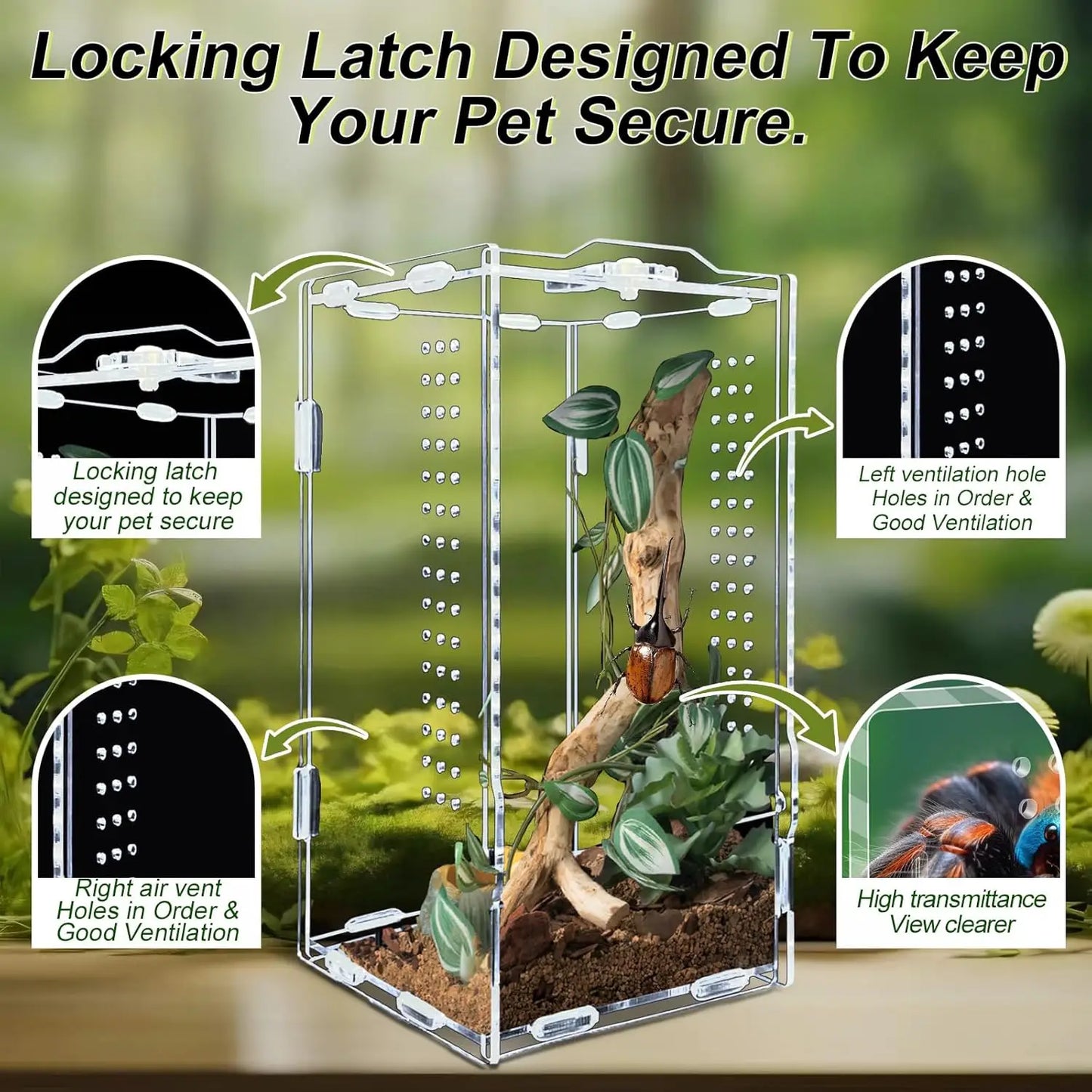 Acryl Reptilien-Terrarium – Transparentes Habitat & Zuchtbox für Echsen, Vogelspinnen & kleine Reptilien