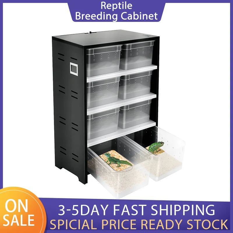 Reptilien-Zuchtterrarium mit 8 Boxen – Inklusive 25W Heizmatte & Thermometer | Platzsparendes Aufzucht-Cabinet für Spinnen, Echsen & kleine Reptilien