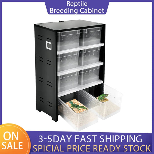 Reptilien-Zuchtterrarium mit 8 Boxen – Inklusive 25W Heizmatte & Thermometer | Platzsparendes Aufzucht-Cabinet für Spinnen, Echsen & kleine Reptilien