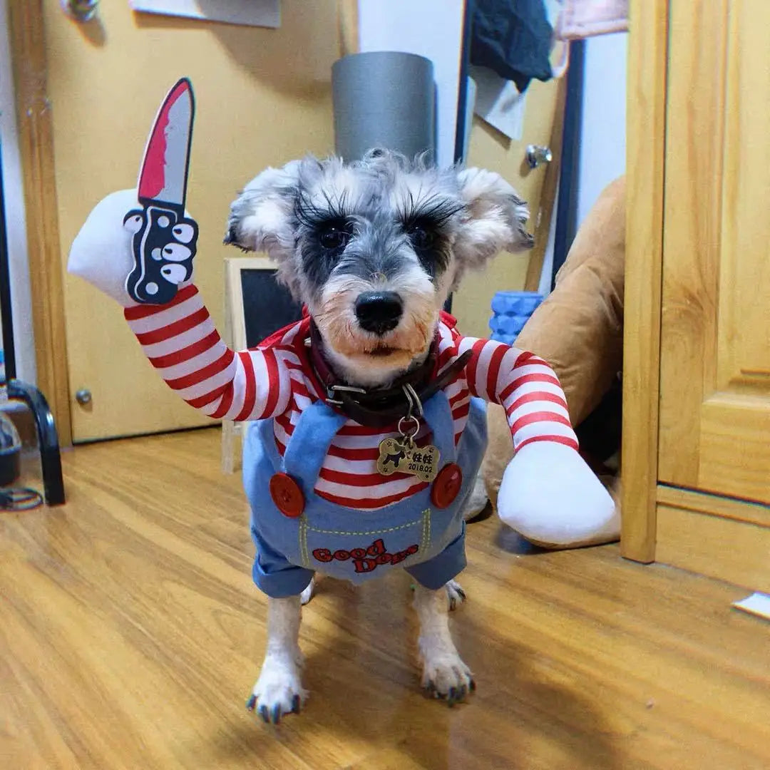 🎃🐶 Halloween Hunde-Kostüm – Cosplay Kleid für kleine & mittelgroße Hunde
