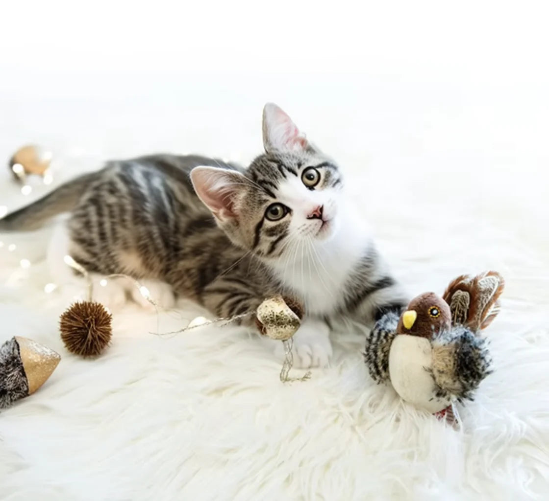 Interaktives Katzenspielzeug – Elektronischer Spatz mit Sound, Federn & Katzenminze