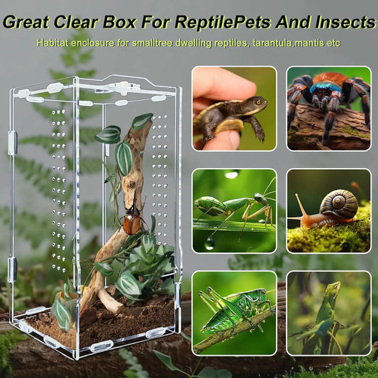 Acryl Reptilien-Terrarium – Transparentes Habitat & Zuchtbox für Echsen, Vogelspinnen & kleine Reptilien