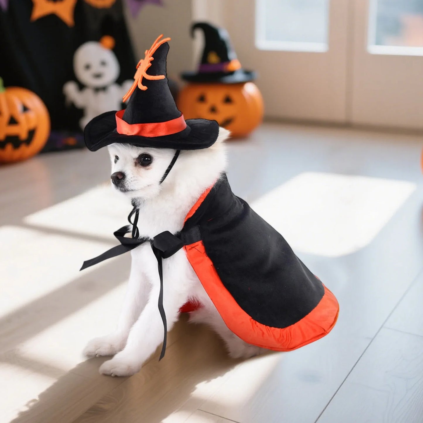 🧙♀️🐕 Halloween Hundecape Kostüm mit Hexenhut – Fledermaus, Kürbis & Spinnenmuster, Schwarz-Orange-Gold