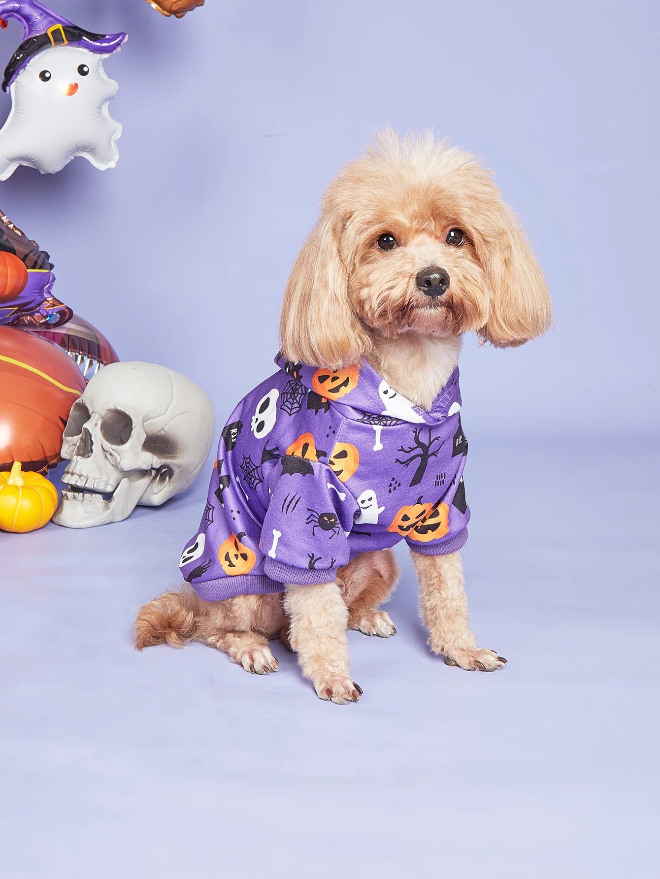 🎃🐕 Halloween Hundekostüm – Warmer Hoodie für kleine Hunde wie Französische Bulldogge, Mops & Terrier