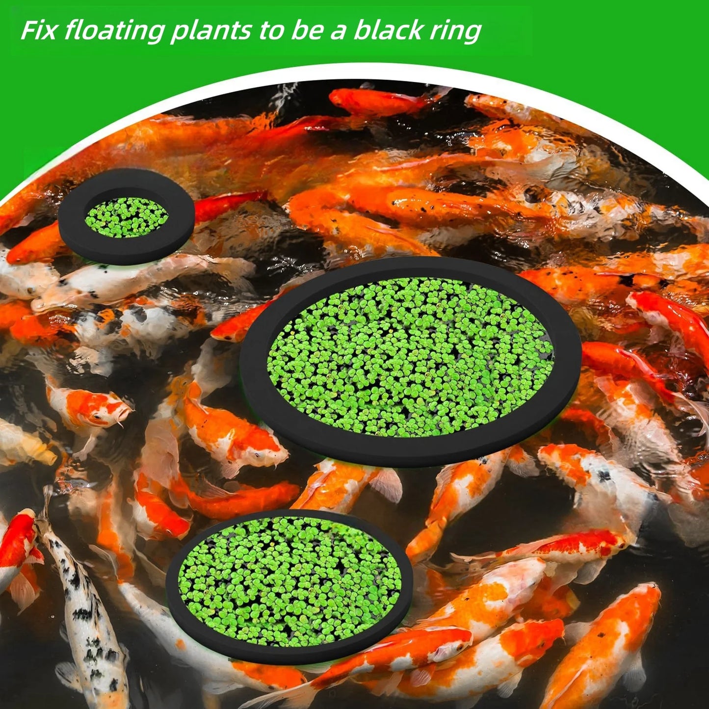 5er-Set Aquarium-Schwimmpflanzen- & Futterringe – EVA Schwimmringe für Aquarien & Teiche (8–20 cm)