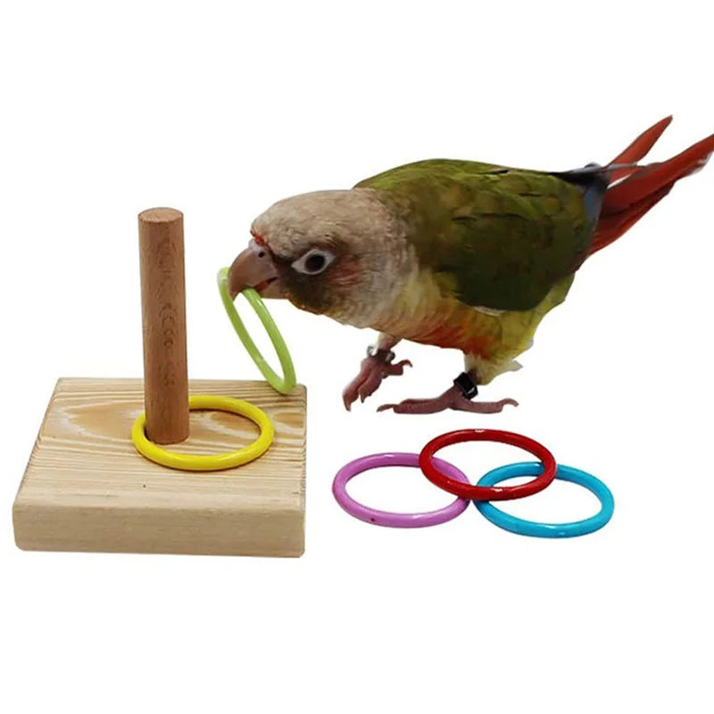 Papageien Lernspielzeug – Holzblock-Puzzle mit bunten Ringen | Intelligenz- & Kauspielzeug für Vögel