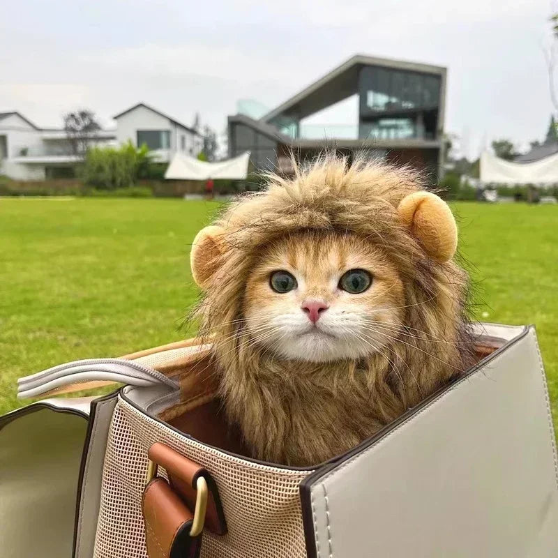 🦁🐾 Löwenmähne für Katzen & Hunde – Lustige Verkleidung für Halloween, Weihnachten & Partys