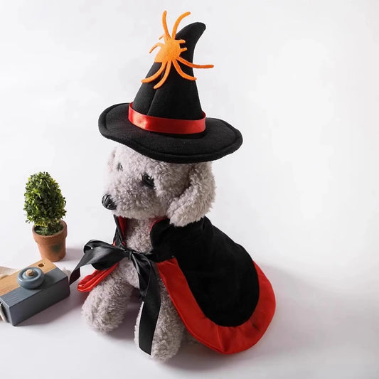 🧙♀️🐕 Halloween Hundecape Kostüm mit Hexenhut – Fledermaus, Kürbis & Spinnenmuster, Schwarz-Orange-Gold