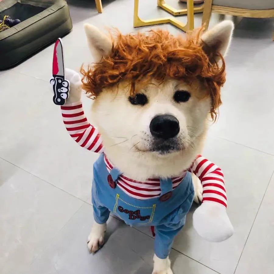 🎃🐶 Halloween Hunde-Kostüm – Cosplay Kleid für kleine & mittelgroße Hunde
