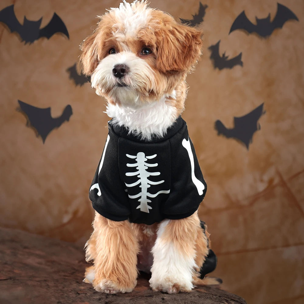 Leuchtendes Halloween-Haustierkostüm – Skelett-Jumpsuit für Hunde & Katzen – Vierbeiniger Overall mit Kapuze