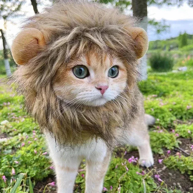 🦁🐾 Löwenmähne für Katzen & Hunde – Lustige Verkleidung für Halloween, Weihnachten & Partys