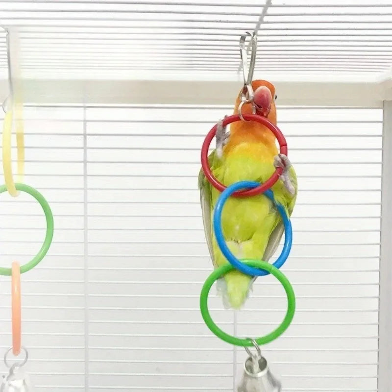 Papageien-Spielzeug bunt – Kletter- & Kauspielzeug mit Glocke für Sittiche, Nymphensittiche & Papageien
