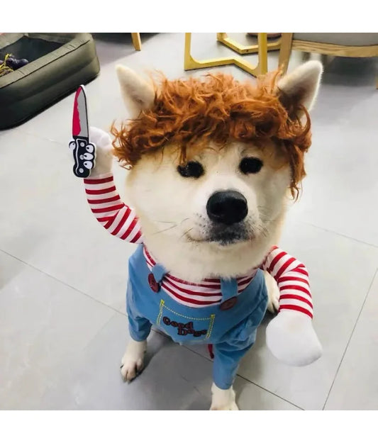 🎃🐶 Halloween Hunde-Kostüm – Cosplay Kleid für kleine & mittelgroße Hunde