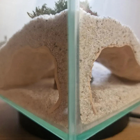 3D-gedruckte Aquarium-Höhle aus PETG – Unterwasser-Versteck für Fische, Garnelen & Reptilien | Dekoration & Unterschlupf