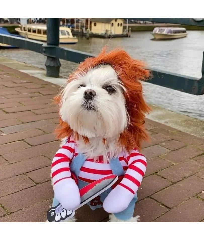 🎃🐶 Halloween Hunde-Kostüm – Cosplay Kleid für kleine & mittelgroße Hunde