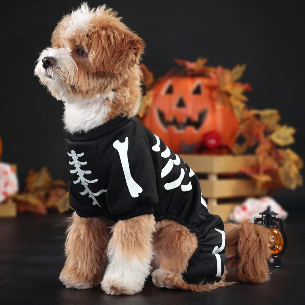 Leuchtendes Halloween-Haustierkostüm – Skelett-Jumpsuit für Hunde & Katzen – Vierbeiniger Overall mit Kapuze