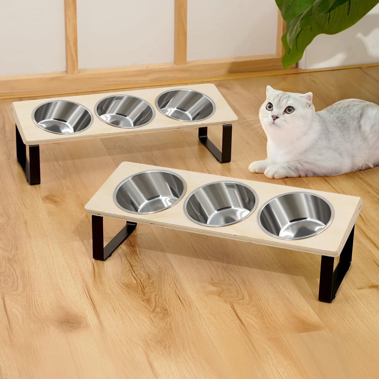 Erhöhtes Katzen-Napf-Set mit 3 Edelstahlschalen – 15° Neigung, Rutschfest & Verdauungsfreundlich