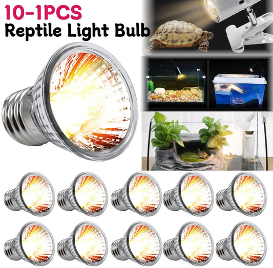 UVA+UVB Reptilienlampe 25W / 50W / 75W – Heiz- & Sonnenlampe für Schildkröten, Echsen & Amphibien