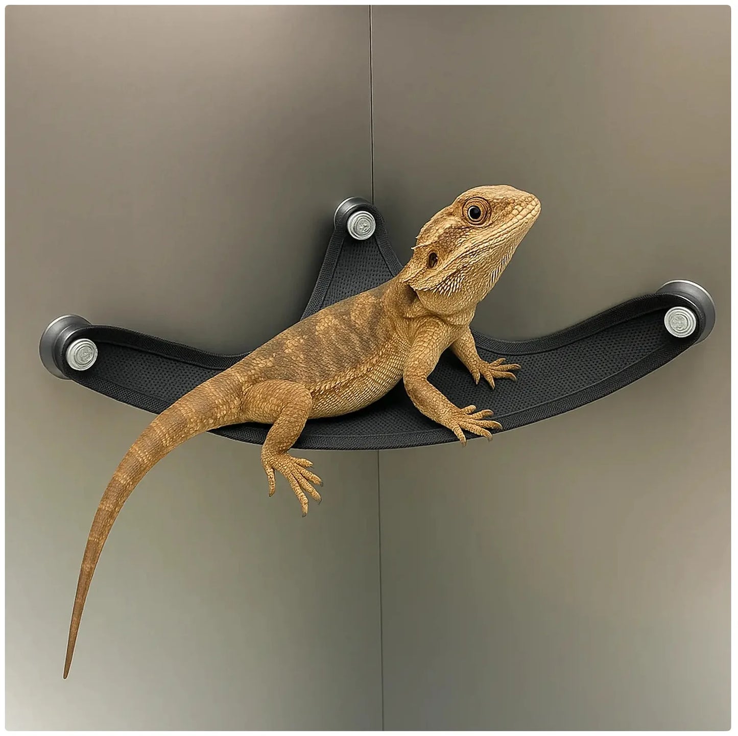 Reptilien-Hängematte – Atmungsaktive Netzschaukel für Echsen, Geckos & Terrarien | Sommer-Kletterhammock
