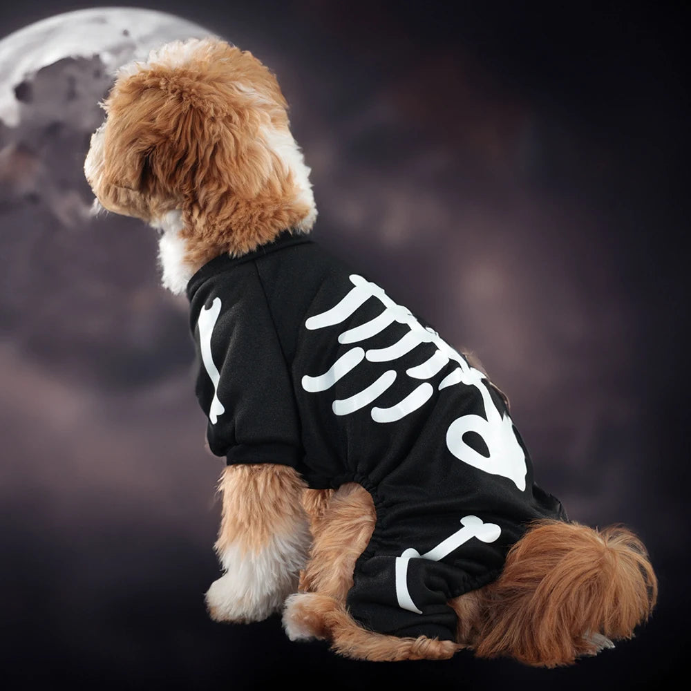 Leuchtendes Halloween-Haustierkostüm – Skelett-Jumpsuit für Hunde & Katzen – Vierbeiniger Overall mit Kapuze