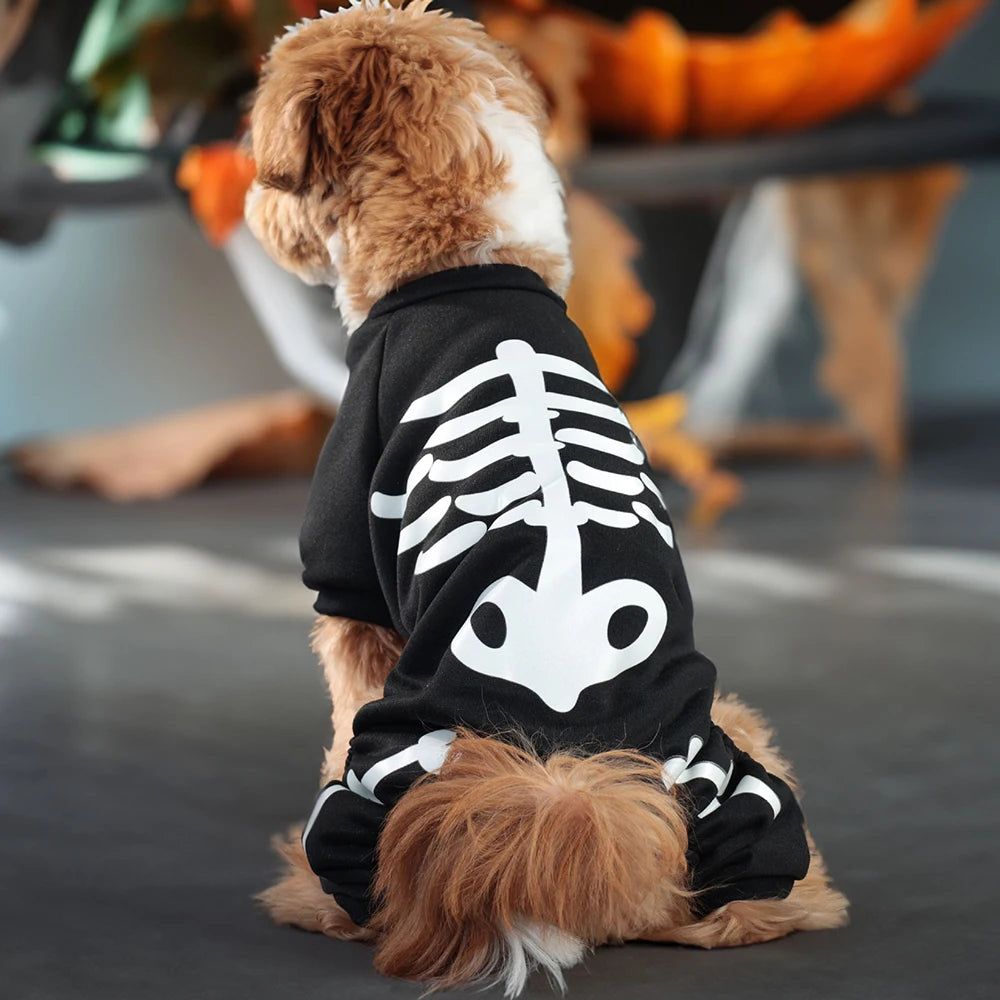 Leuchtendes Halloween-Haustierkostüm – Skelett-Jumpsuit für Hunde & Katzen – Vierbeiniger Overall mit Kapuze