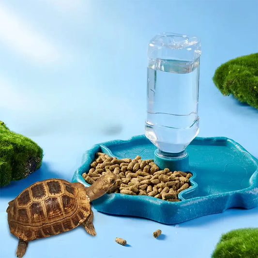 Reptilien-Futternapf – Futter- & Wasserschale für Schildkröten, Echsen & Amphibien | Leicht zu reinigen