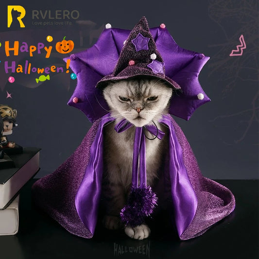🧙♀️🐾 Lila Hexenumhang mit Hexenhut für Katzen & kleine Hunde – Halloween-Kostüm für