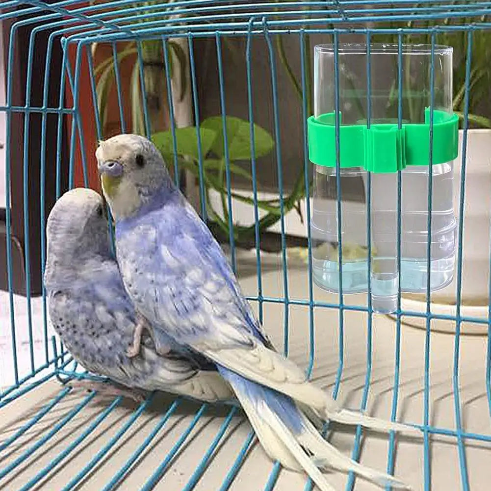 Automatischer Vogel-Wasserspender – Transparent, für Wellensittiche, Nymphensittiche, Kanarien & Co.