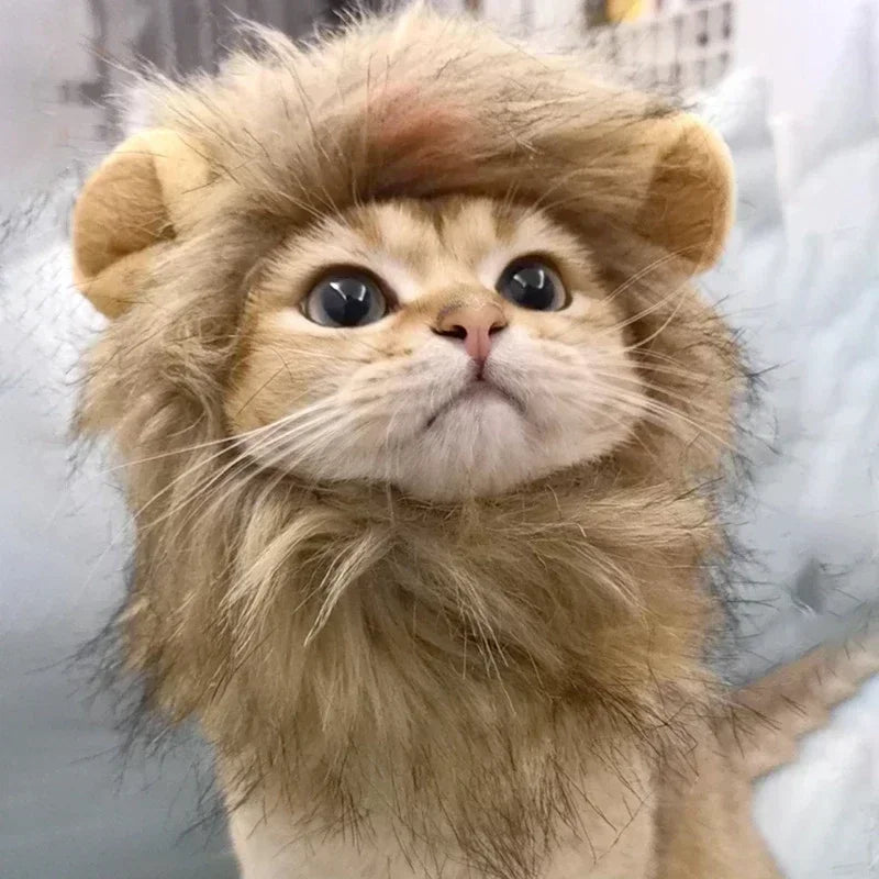 🦁🐾 Löwenmähne für Katzen & Hunde – Lustige Verkleidung für Halloween, Weihnachten & Partys