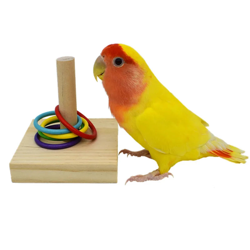 Papageien Lernspielzeug – Holzblock-Puzzle mit bunten Ringen | Intelligenz- & Kauspielzeug für Vögel