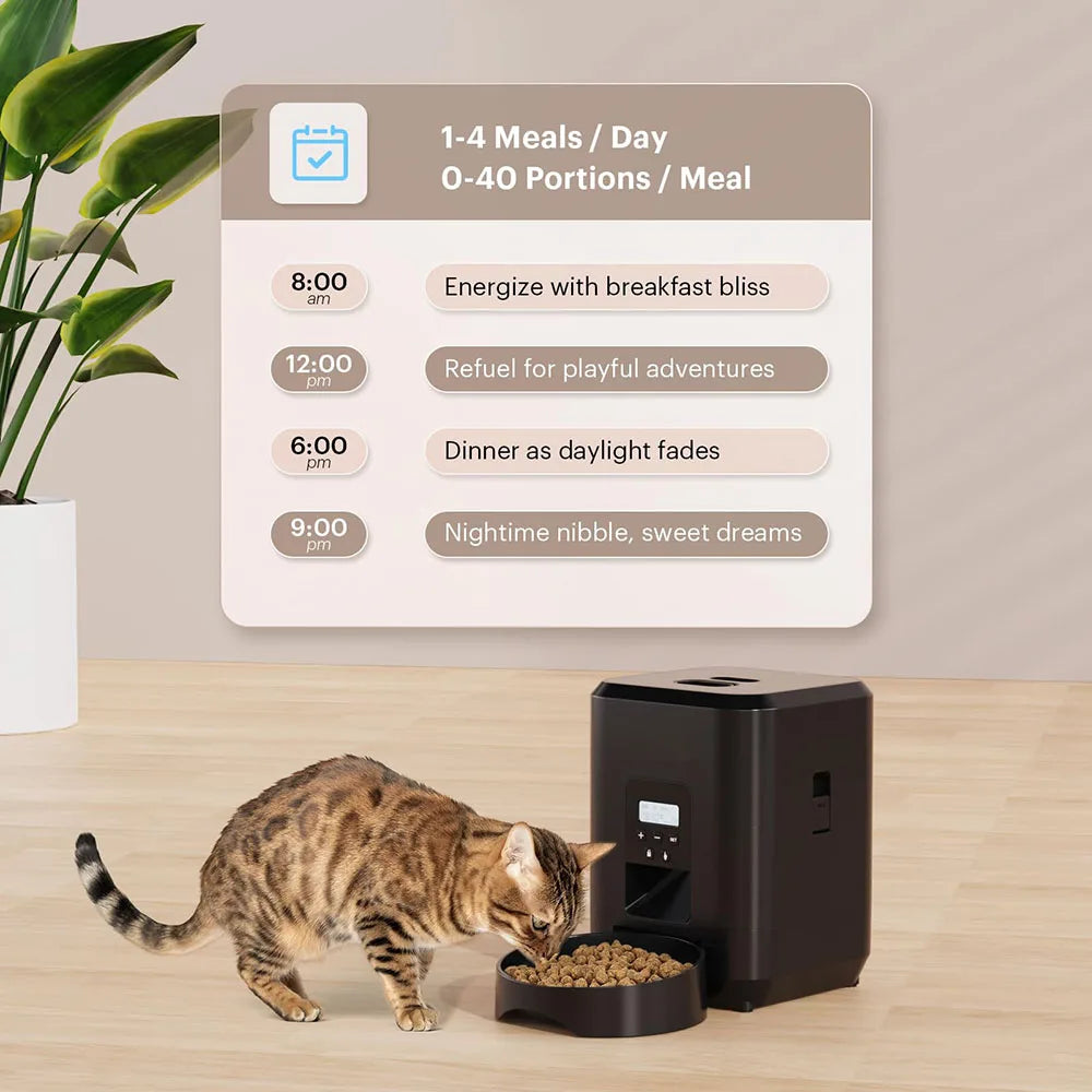 🐾 Automatischer Futterspender für Katzen – Mit LCD-Display & Zeitsteuerung, 50–100g Portionen