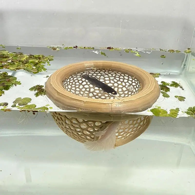 Aquarium Schwimmhöhle 3-in-1 – Betta & Garnelen Versteck, Futterring & Ruheplatz | Schwimmende Dekoration