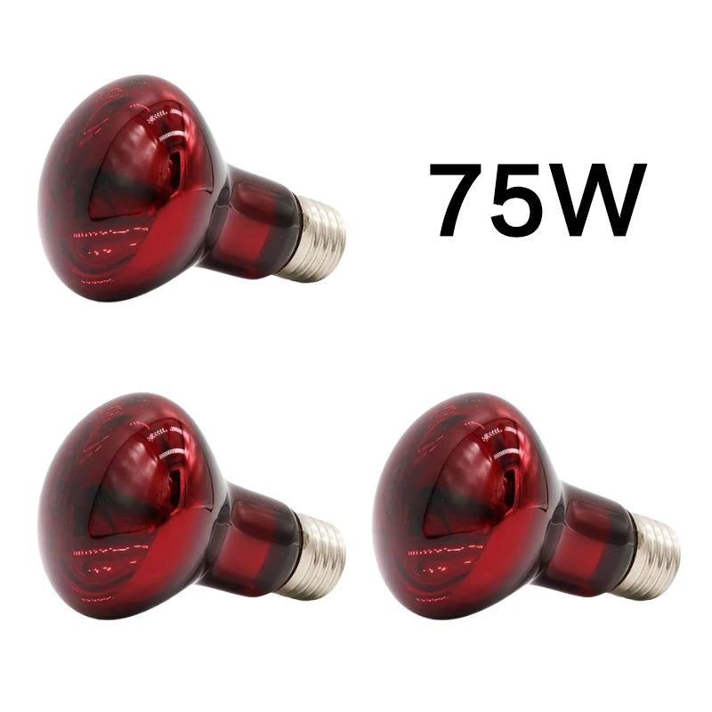 3er-Set Infrarot-Heizlampen E27 (25W–100W) – Wärmelampe für Geflügel, Reptilien & Amphibien