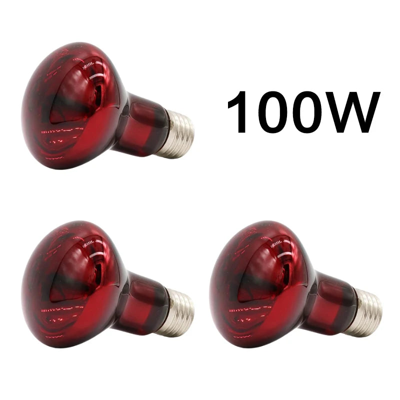 3er-Set Infrarot-Heizlampen E27 (25W–100W) – Wärmelampe für Geflügel, Reptilien & Amphibien