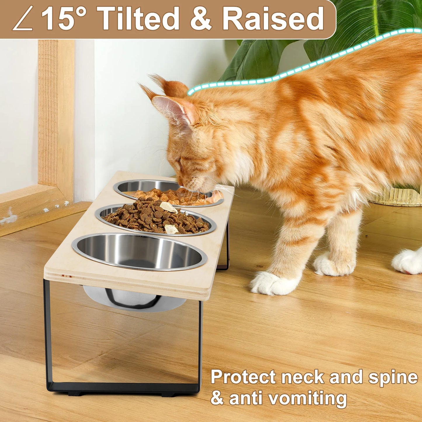 Erhöhtes Katzen-Napf-Set mit 3 Edelstahlschalen – 15° Neigung, Rutschfest & Verdauungsfreundlich