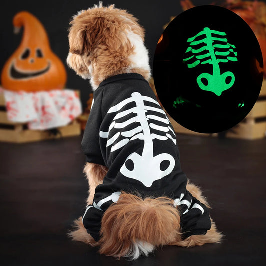 Leuchtendes Halloween-Haustierkostüm – Skelett-Jumpsuit für Hunde & Katzen – Vierbeiniger Overall mit Kapuze