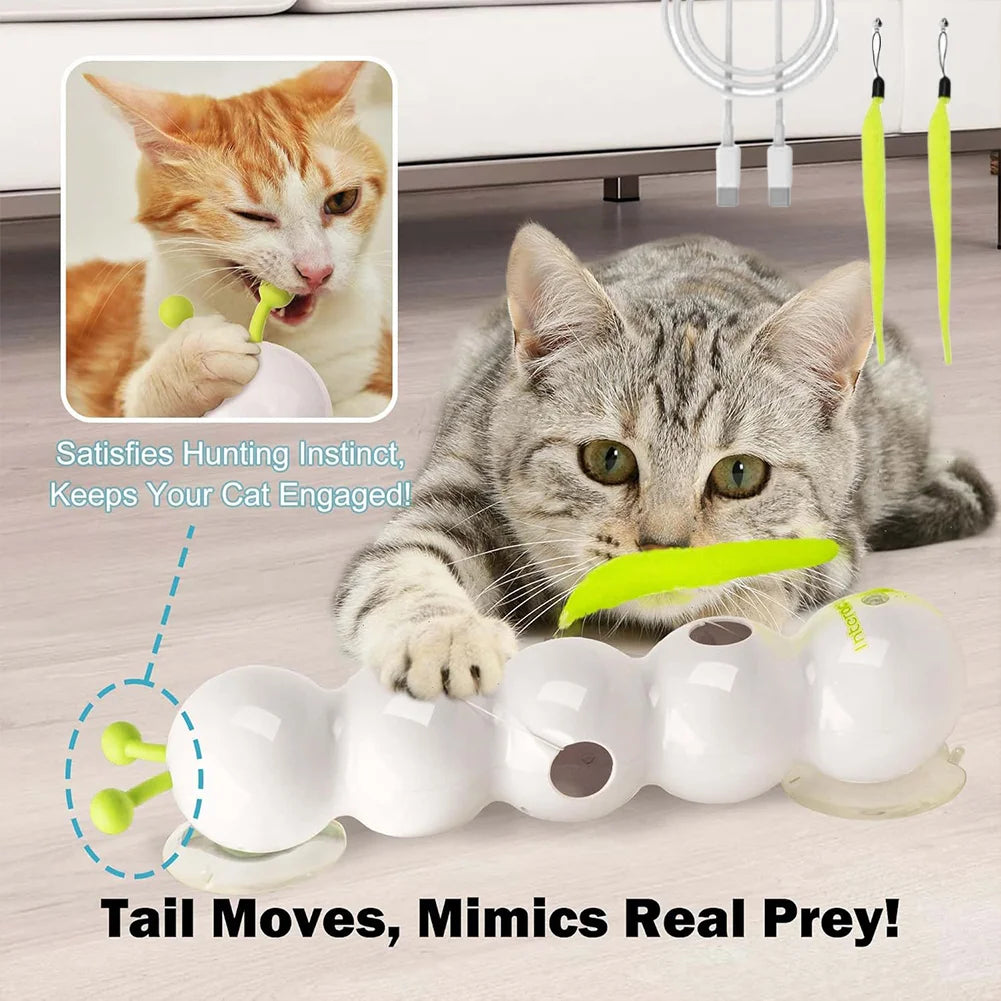 Interaktives Katzen-Spielzeug „Raupe“ – USB-Aufladung, Bewegungssensor, mit Saugnapf & Schwanz