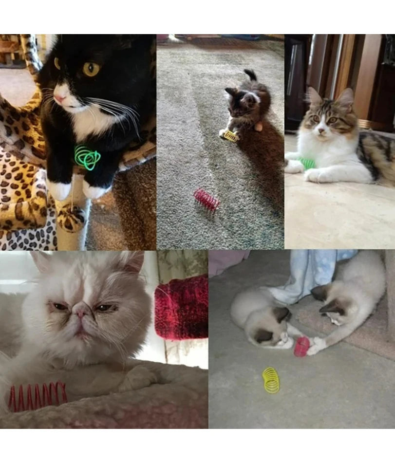 🐾 Colorful Cat Spring Toys – Durable Coil Spirals for Kittens & Cats (Set of 4/8/16/20pcs)