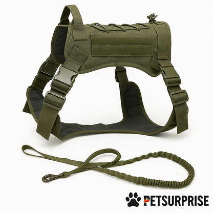 Hundegeschirr und Leine Set – 2-teilig
