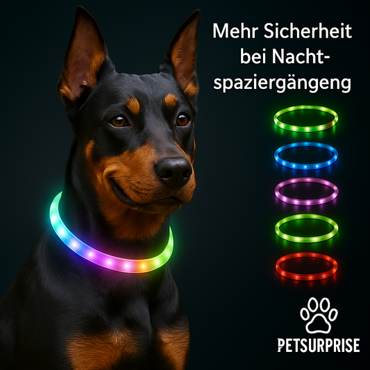 Wiederaufladbares LED-Hundehalsband